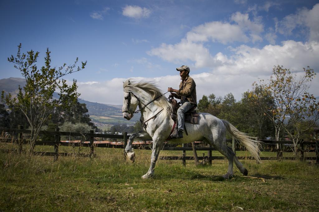 Hacienda Hosteria San Luis Cayambe Kültér fotó