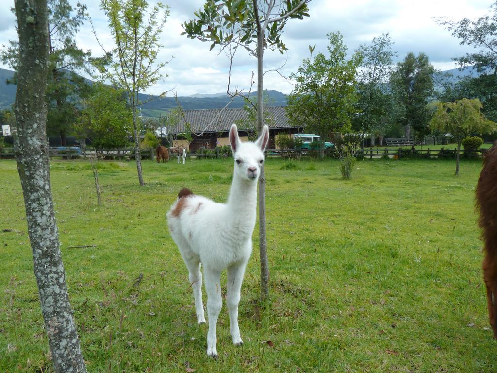 Hacienda Hosteria San Luis Cayambe Kültér fotó