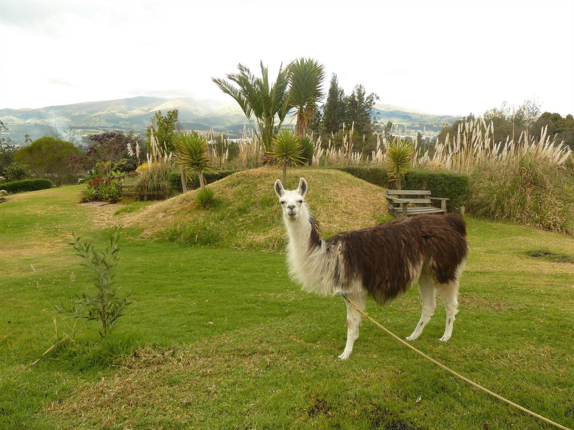 Hacienda Hosteria San Luis Cayambe Kültér fotó