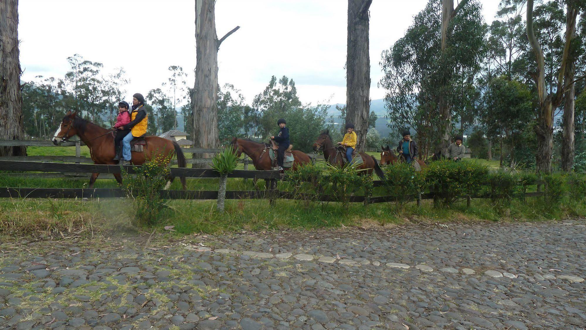 Hacienda Hosteria San Luis Cayambe Kültér fotó